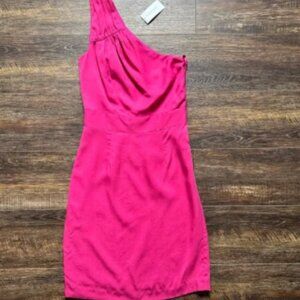 NWT Banana Republic Pink Dress 00